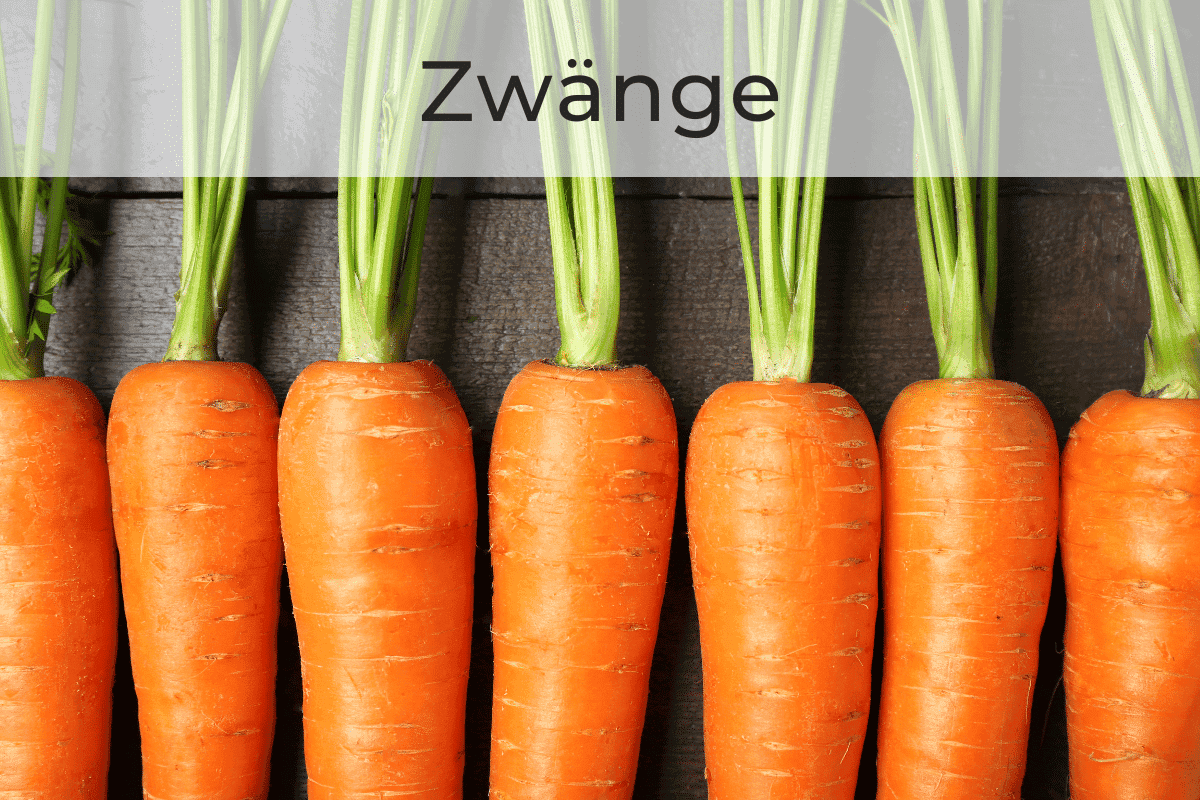 Was ist eine Zwangsstörung? von Anna