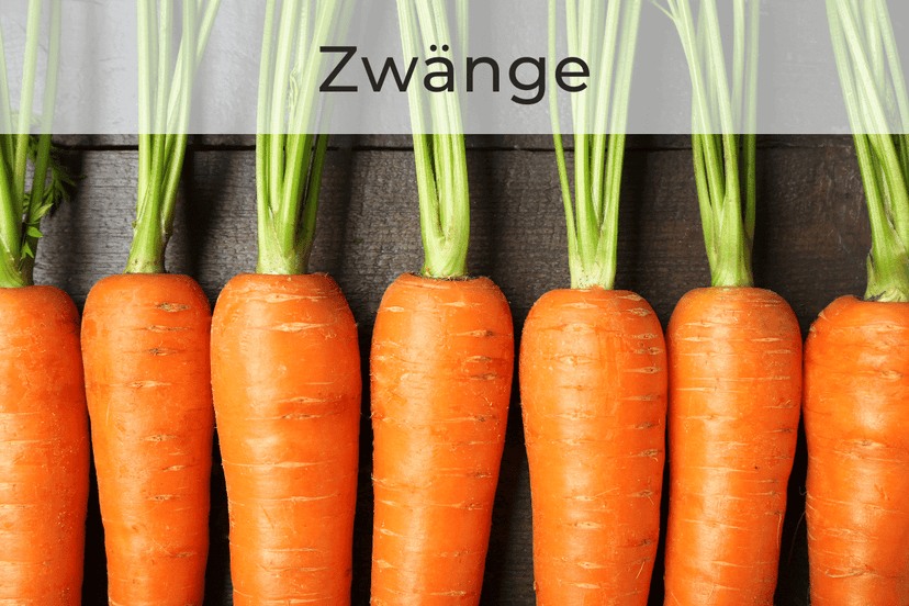 Was ist eine Zwangsstörung? von Anna