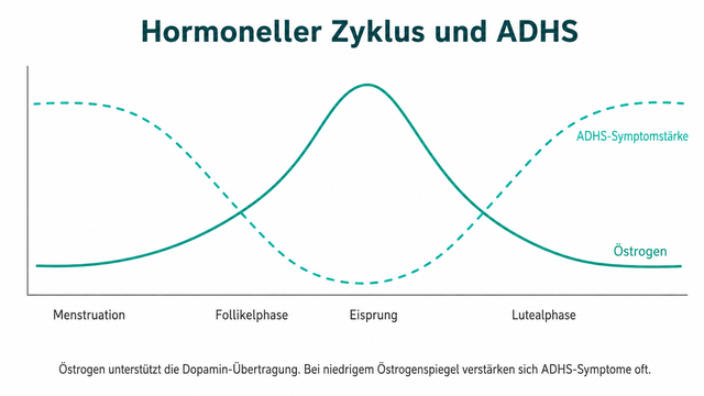 Die Grafik zeigt mit zwei einfachen Wellenlinien, wie Östrogen und ADHS-Symptomatik zusammenhängen: Östrogen niedrig, Symptome hoch und andersherum. 