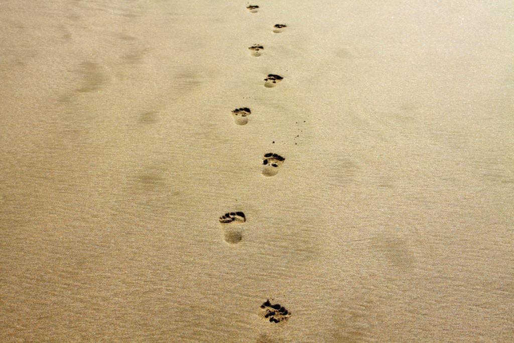 Fußspuren im Sand, die sich vom Betrachter entfernen.